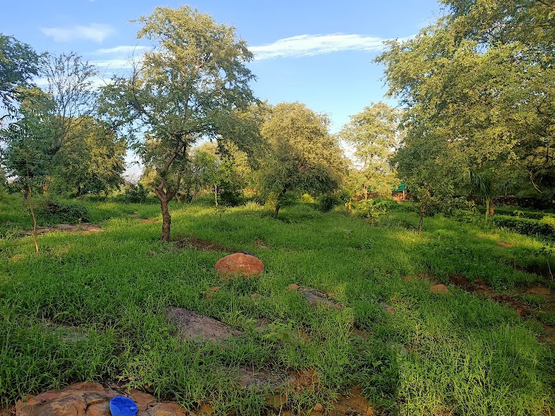 Aravali Retreat - Aravali Retreat, A 43 Aravali Retreat Near Pathways World School Raisina, Village, Gurugram, Haryana 122102, India