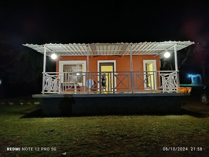 Wild Forest Resort, Masinagudi - Wild Forest Resort, Masinagudi, Chemmanatham Road, Mavanalla, Masinagudi, Tamil Nadu 643223, India