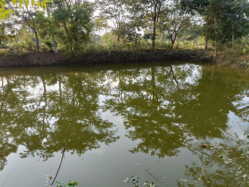 JD Farming - JD Farming, Near, Sagar Road, Gangapur, Junagarh, Balichhada, Odisha 766014, India