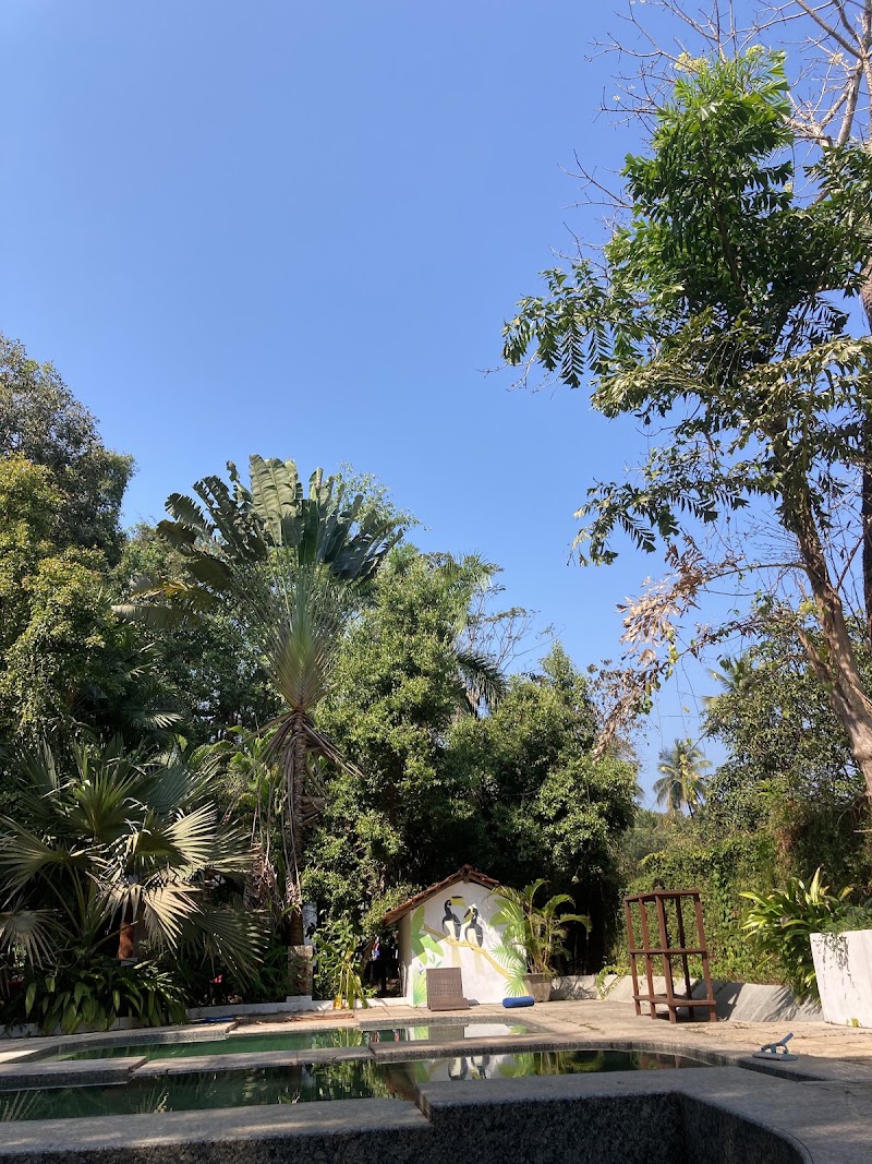 Satori Wellness | Integrative Recovery Studio - Satori Wellness | Integrative Recovery Studio Awani Plant Cafe, Arambol Beach Rd, Arambol, Goa 403527, India