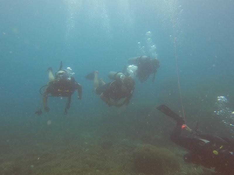 Scuba Shack, Koh Tao PADI dive center