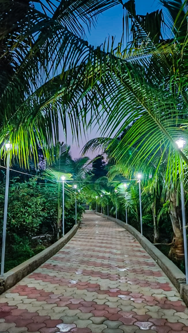 RIVERVIEW FARMHOUSE-RESORT &FARMSTAY - RIVERVIEW FARMHOUSE-RESORT &FARMSTAY 77WV+88C, Durg, Chhattisgarh 491001, India