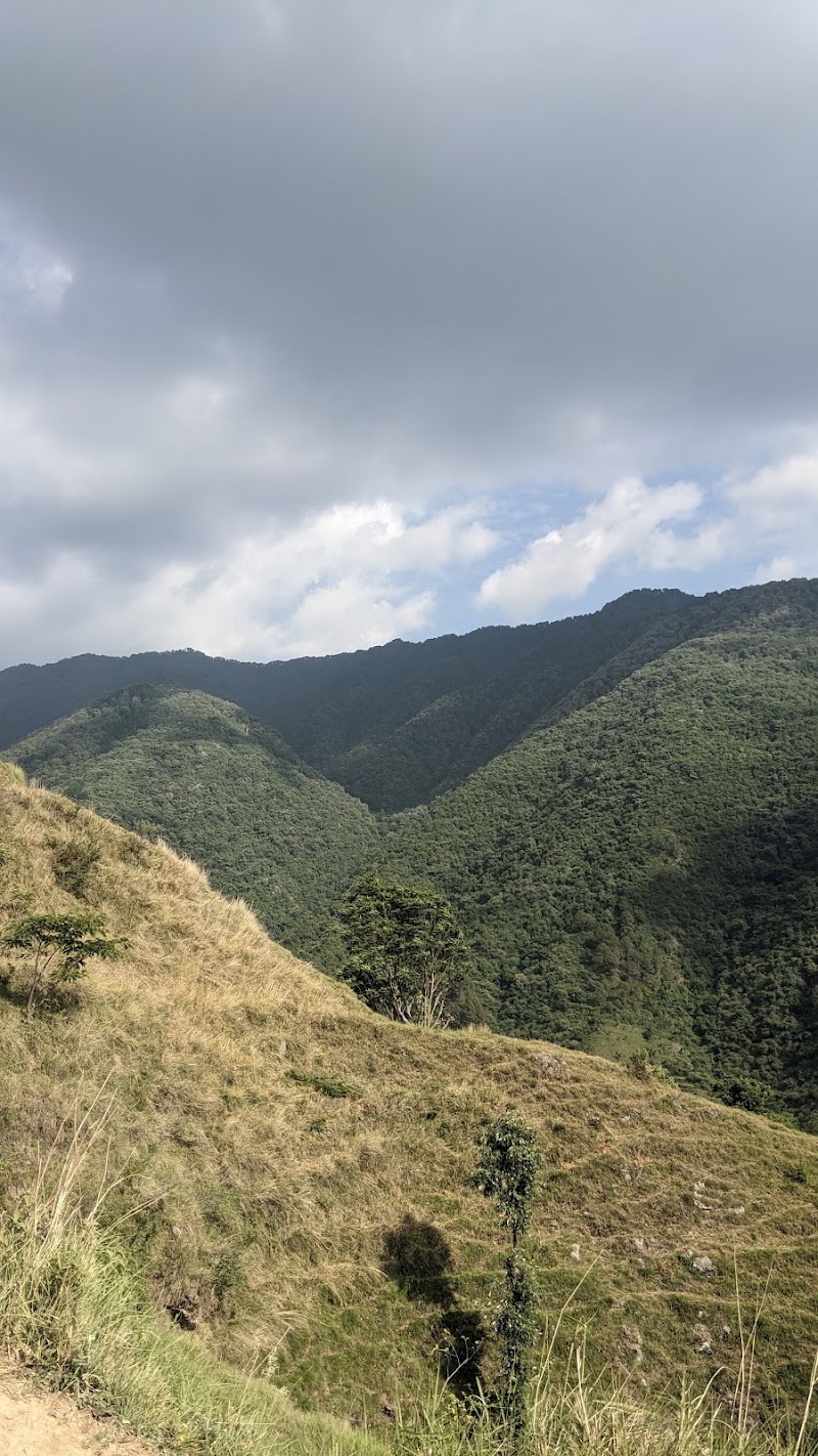Pantwari Nagtibba trek Start - Pantwari Nagtibba trek Start H3MP+GWM, Pantwari, Uttarakhand 249186, India