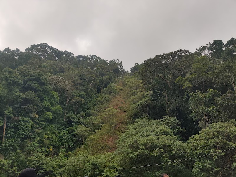 Abbi Waterfall - Abbi Waterfall Abbey Falls Rd, Hebbettageri, Karnataka 571202, India
