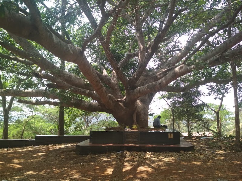 Family Court Malappuram - Family Court Malappuram, civil station, Up Hill, Malappuram, Kerala 676505, India
