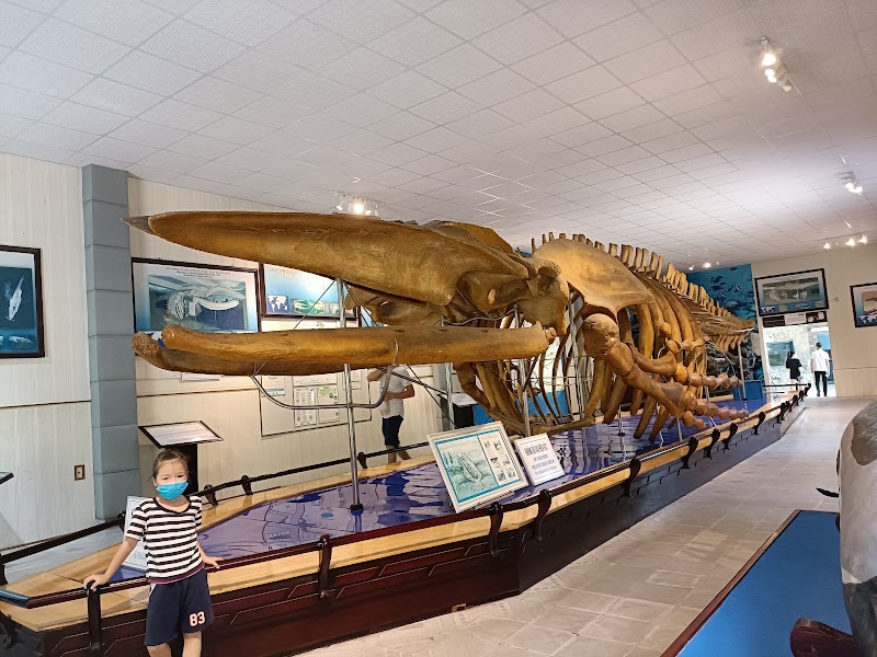 Museum of Oceanography