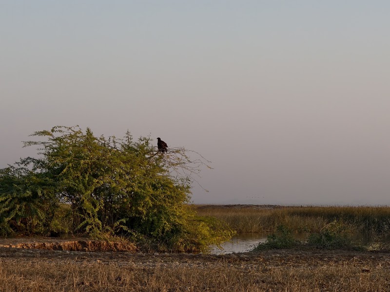 Kutch Adventures India (a.k.a. Desert Adventures Kutch) - Kutch Adventures India (a.k.a. Desert Adventures Kutch), Rotary Colony, Ravalwadi Relocation Site, D 109, near Engineering College Road, Rotary Nagar, Bhuj, Gujarat 370001, India