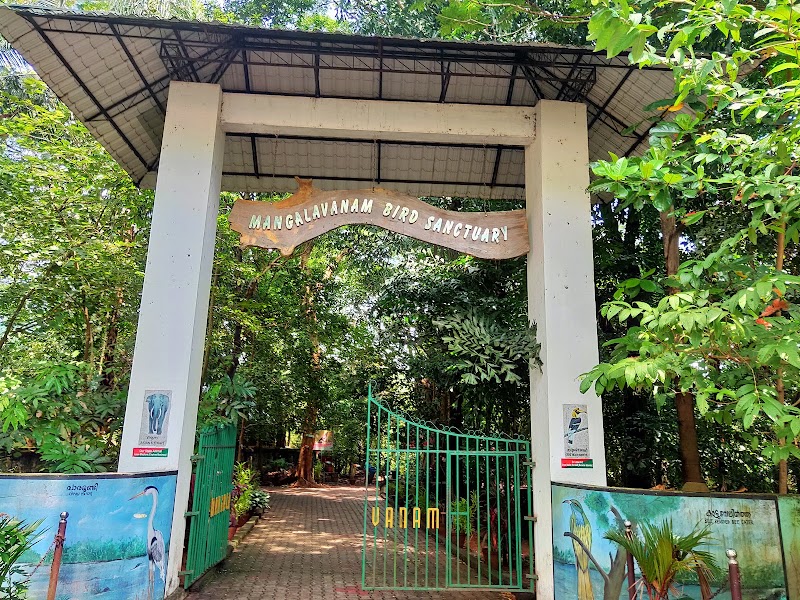 Mangalavanam Bird Sanctuary - Mangalavanam Bird Sanctuary High Ct Rd, Marine Drive, Kochi, Kerala 682018, India