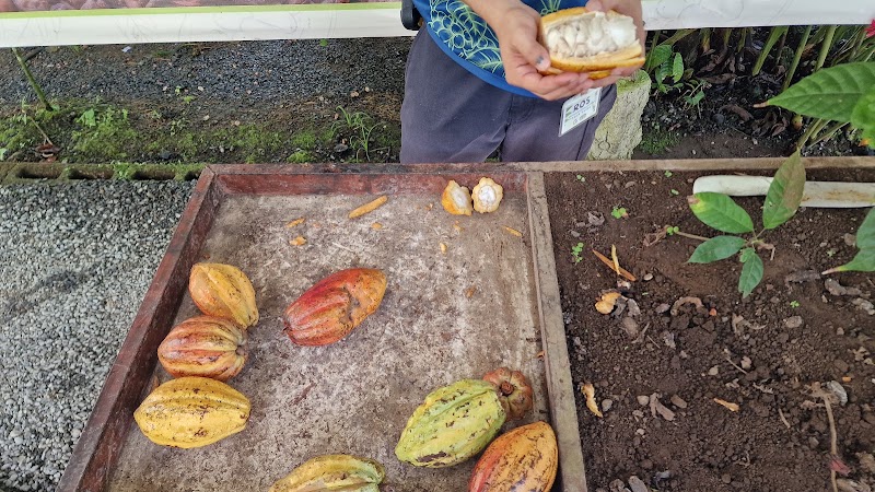 North Fields Coffee and Chocolate Tour - North Fields Coffee and Chocolate Tour, C. 506, Provincia de Alajuela, San Carlos, 21007, Costa Rica