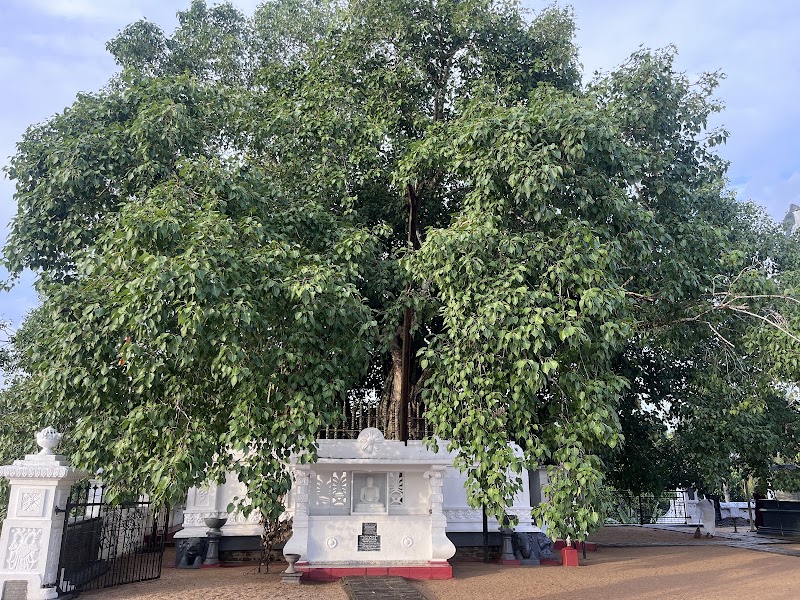 Agrabodhi Raja Maha Viharaya - Agrabodhi Raja Maha Viharaya Sri Agrabhodi Viharaya, Weligama, Sri Lanka