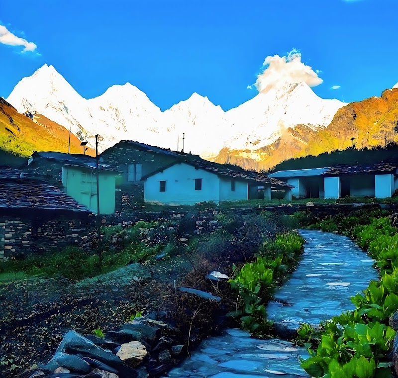 Dantu - Dantu, Uttarakhand 262545, India