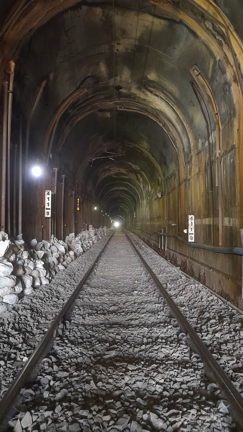 Old Goa Tunnel
