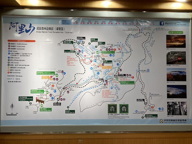 Alishan Visitor Center - Alishan Visitor Center Alishan National Forest Recreation Area, No. 59號中正村東 Zhongzheng Village, Alishan Township, Chiayi County, Taiwan 605