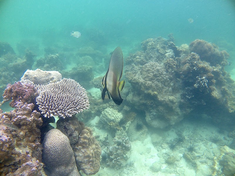 Batam - Batam Batam, Batam City, Riau Islands, Indonesia