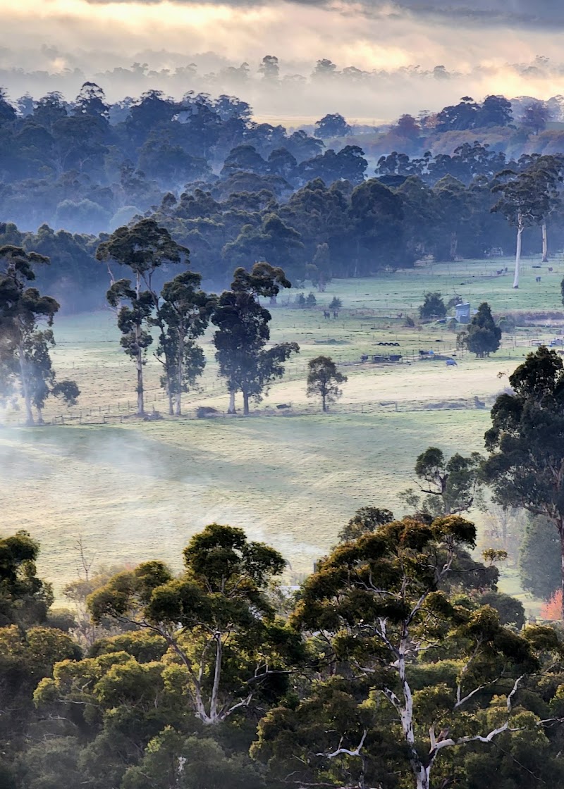 Yarra Valley Parklands - Yarra Valley Parklands, Fitzsimons Ln, Templestowe VIC 3106, Australia