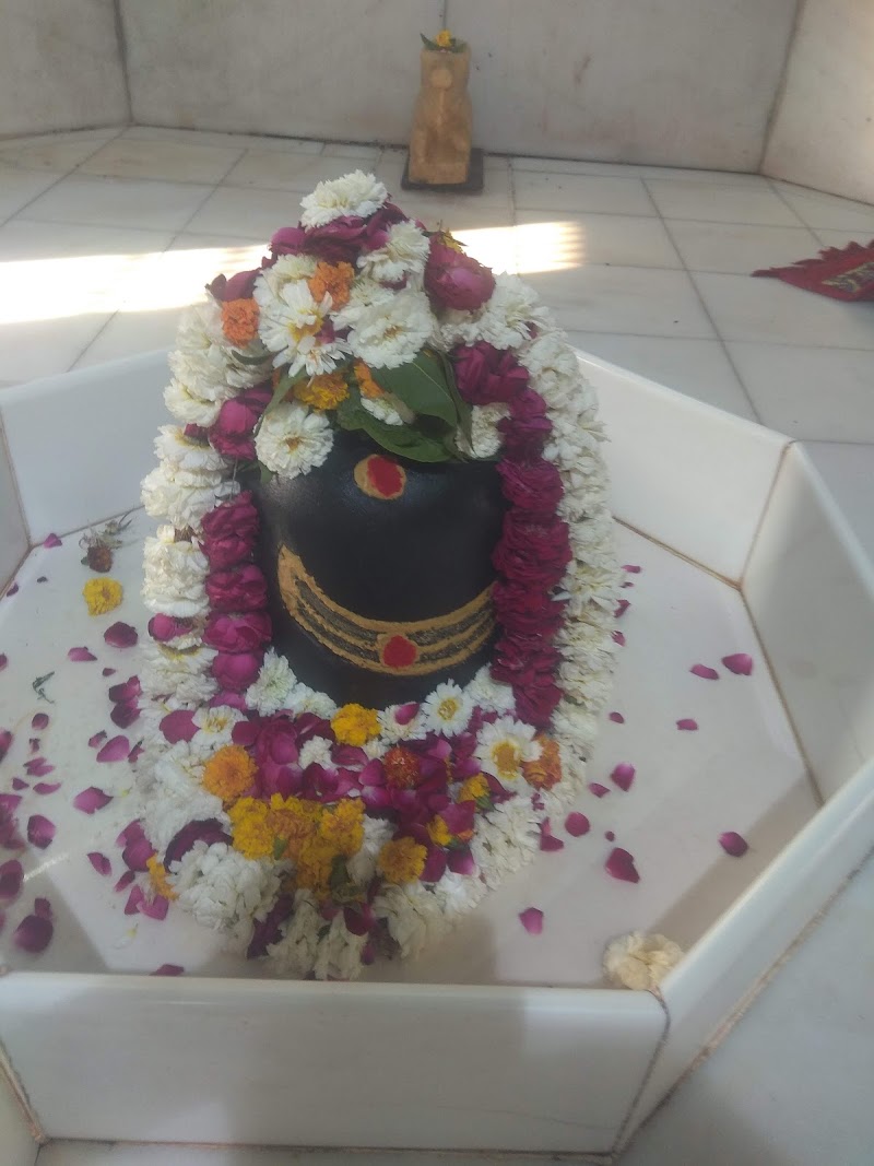Krishna Palace and guest house - Krishna Palace and guest house 20, Sikandra-Bodla Rd, Dushyant Nagar, Sikandra-Bodla Rd, Dushyant Nagar, Sulabh Puram colony, Lohamandi, Agra, Uttar Pradesh 282007, India