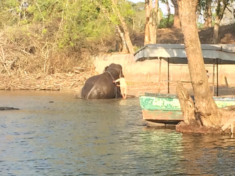 Booking Office of Coorg Dubare Elephant camp - Booking Office of Coorg Dubare Elephant camp Tourism House, 2nd Floor, Papanna Lane, No.8, St Mark's Rd, Shanthala Nagar, Ashok Nagar, Bengaluru, Karnataka 560001, India