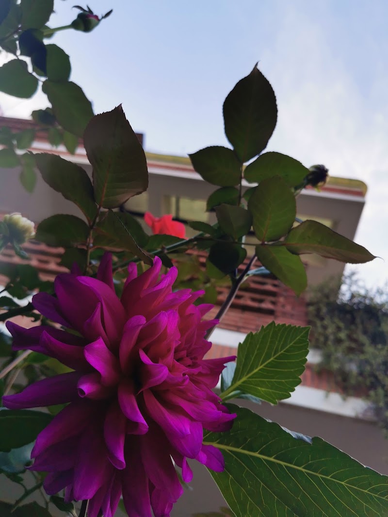 Mera Mughal Garden - Mera Mughal Garden 3292, Sector 23, Gurugram, Haryana 122017, India