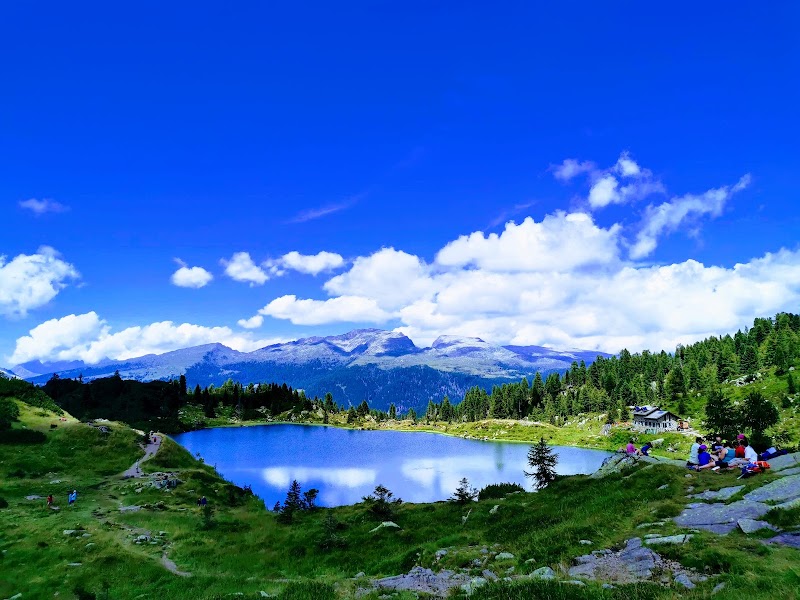 Parco Naturale Paneveggio Pale di San Martino - Parco Naturale Paneveggio Pale di San Martino Località Castelpietra, 2, 38054 Primiero San Martino di Castrozza TN, Italy