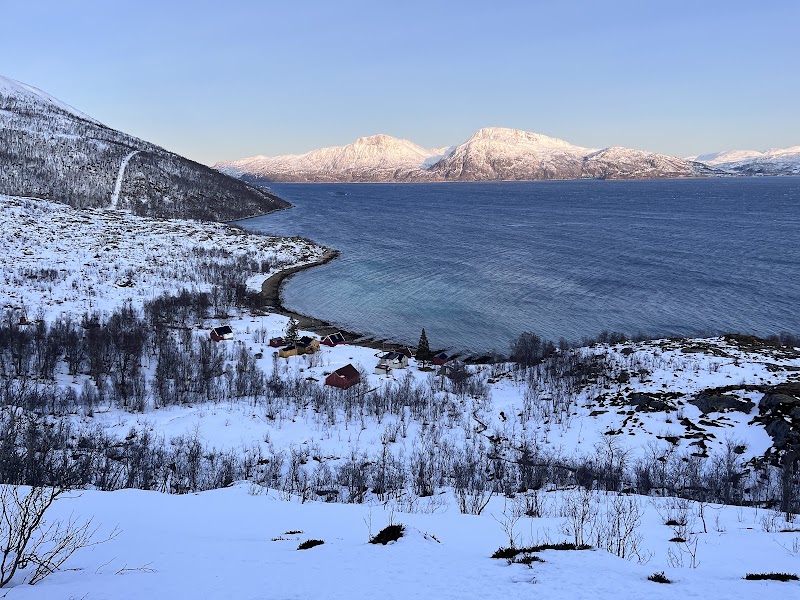 Amazing Arctic - Amazing Arctic Kirkegata 2, 9008 Tromsø, Norway