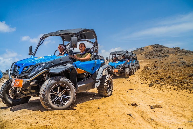 De Palm Tours Aruba
