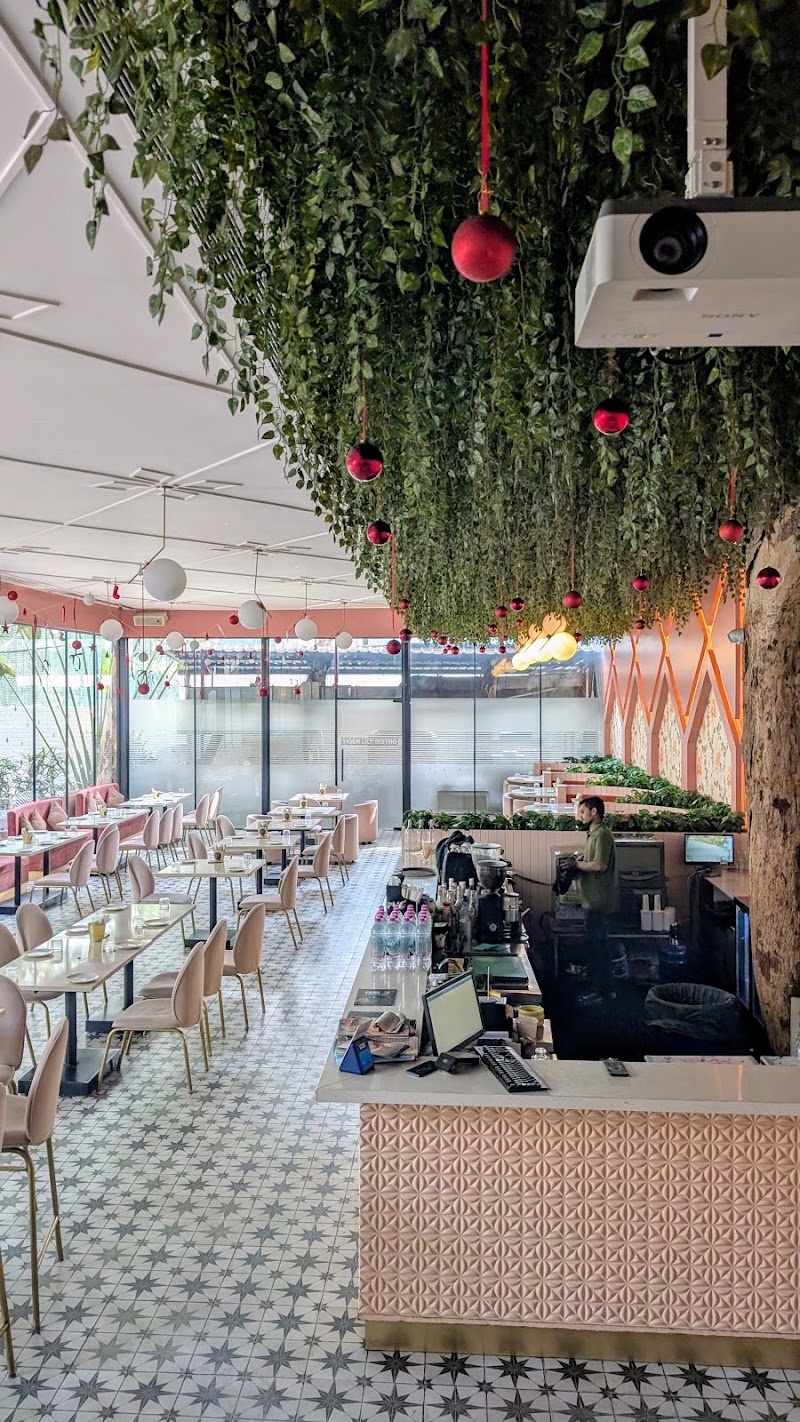 Tiger Lily - Cafe and Bistro - Tiger Lily - Cafe and Bistro 272, Road Number 10, near SBricks Castle Pvt. Ltd, Venkatagiri, Jubilee Hills, Hyderabad, Telangana 500033, India