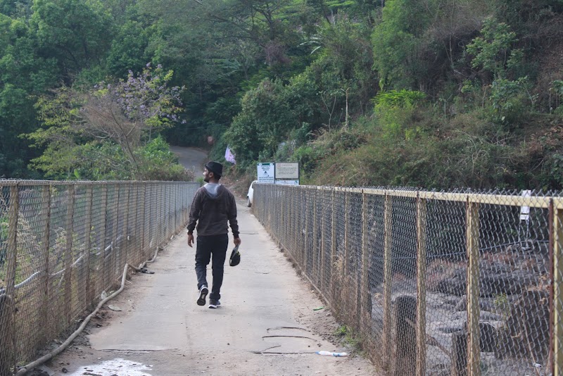 Attukad Waterfall Road - Attukad Waterfall Road, Attukad Waterfall Rd, Pallivasal, Keralam, India