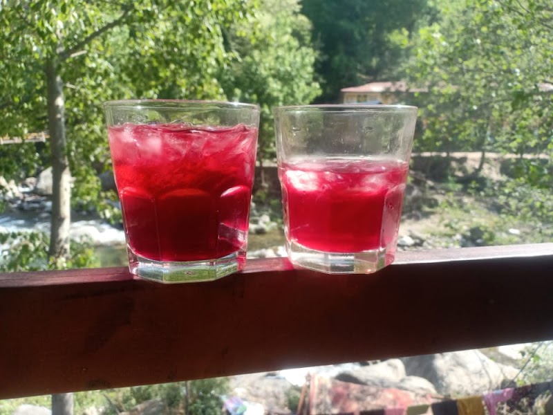 Tirthan Riverside Café - Tirthan Riverside Café Gushaini, Pekhri, Himachal Pradesh 175123, India
