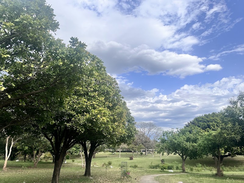 Bougainvillea Park, 3B Chandigarh - Bougainvillea Park, 3B Chandigarh QQ5W+894, 3B, Sector 3, Chandigarh, 160001, India