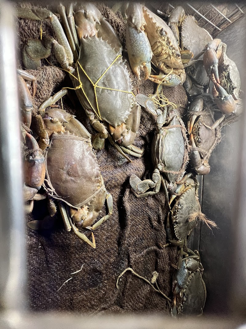 Mahesh Lunch Home - Seafood Specialty Restaurant (Juhu) - Mahesh Lunch Home - Seafood Specialty Restaurant (Juhu) मार्ग, next to Jw Marriott Mumbai Juhu, उड़ती तरंग हाऊसिंग कॉलोनी, जुहू तारा, जुहू, मुंबई, महाराष्ट्र 400049, India