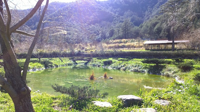 Wuling Farm Campground - Wuling Farm Campground No. 3-1, 武陵路和平區臺中市 Taiwan 424