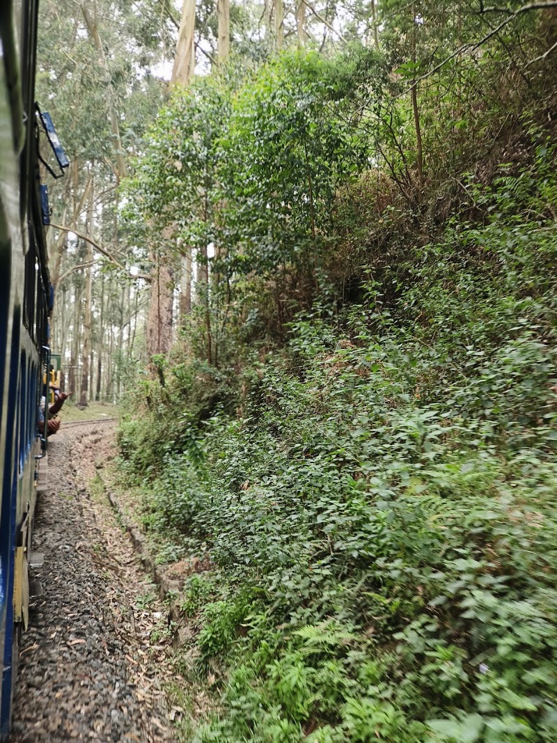 Ooty Toy Train Tourist Park - Ooty Toy Train Tourist Park Kathadimattam, Ooty, Tamil Nadu 643001, India