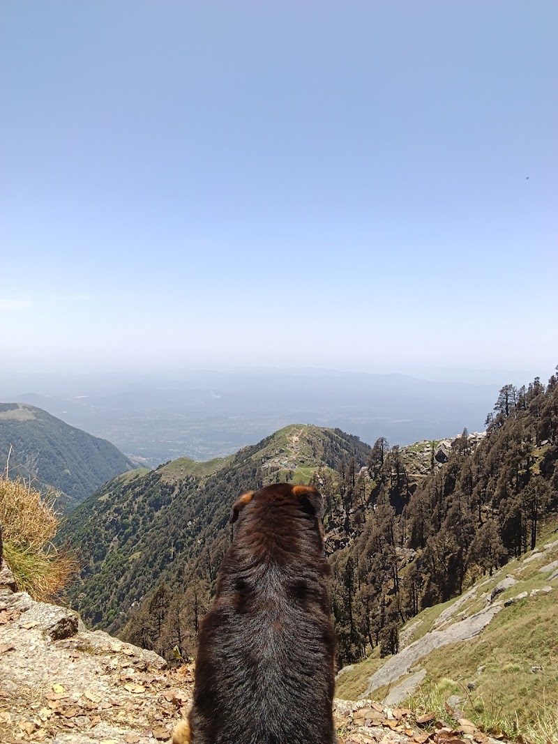 Him View Guesthouse - Him View Guesthouse 68PH+444, Jogiwara Rd, McLeod Ganj, Dharamshala, Himachal Pradesh 176215, India