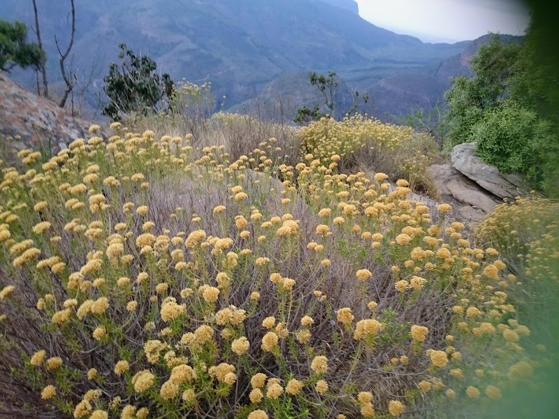 Lowveld View - Lowveld View, R532, South Africa