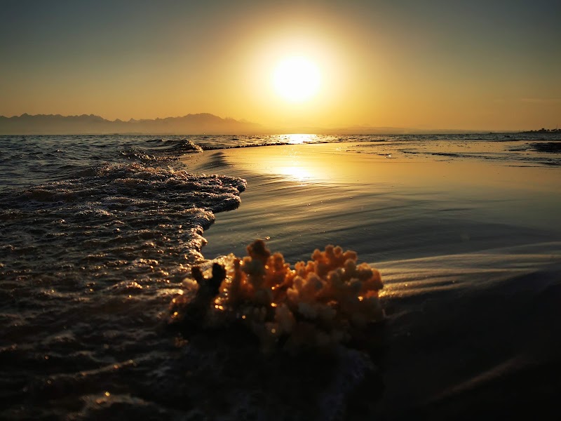 Soma Bay - Soma Bay VX2Q+VHM, Safaga, Red Sea Governorate, Egypt
