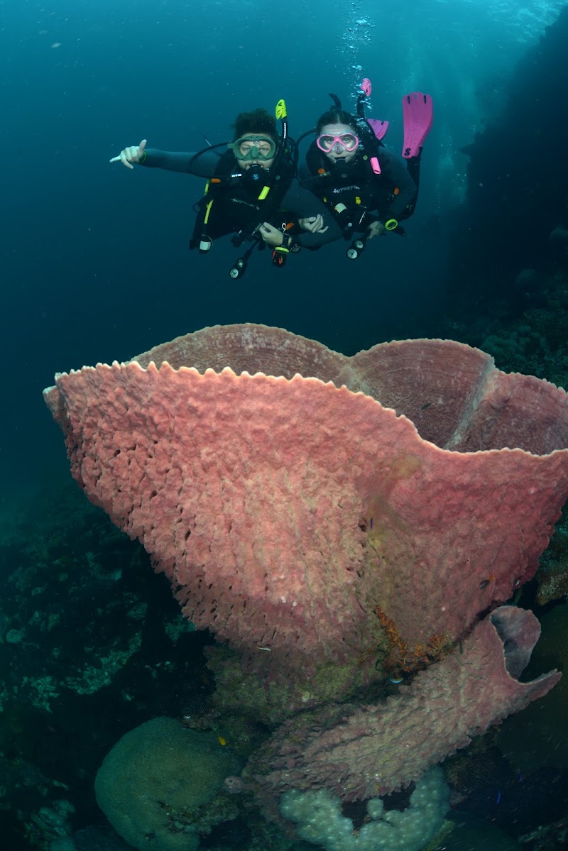 Lanta Diver – Koh Lanta Diving and Snorkeling - Lanta Diver – Koh Lanta Diving and Snorkeling 259, 2, Tambon Sala Dan, Amphoe Ko Lanta, Chang Wat Krabi 81150, Thailand