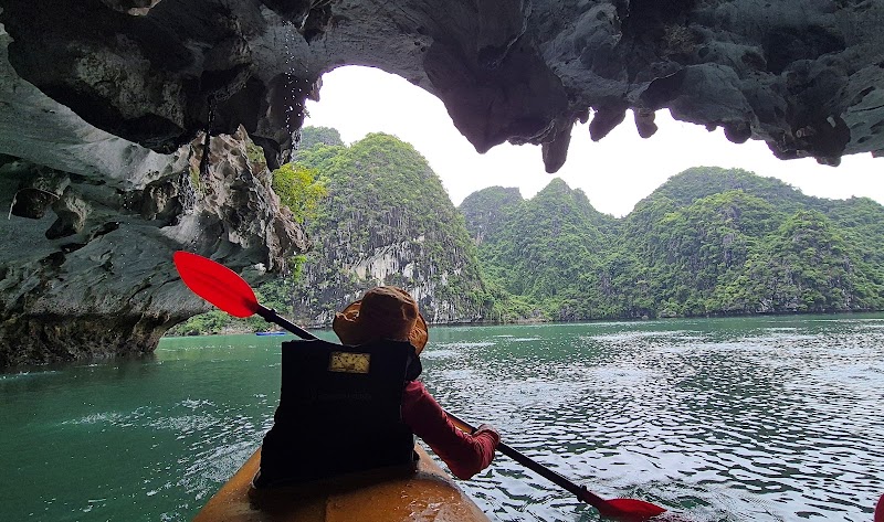 Dark Cave - Dark Cave, R32W+5V7, Cat Hai, Hai Phong, Vietnam