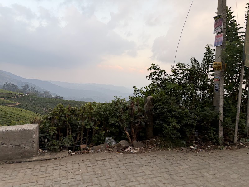 Pothamedu - Pothamedu Ottamaram, Road, Bison Valley, Munnar, Kerala 685565, India
