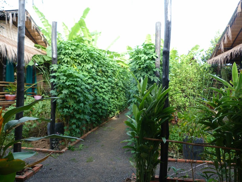 Battambang Dream Bungalows - Battambang Dream Bungalows, 55CH+7W, 55FJ+W5, Krong Battambang, Cambodia