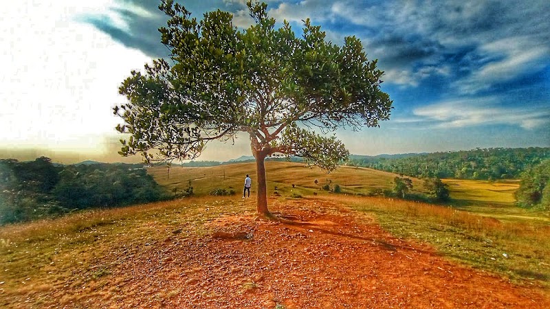 Heththur’s Green Meadows - Heththur’s Green Meadows QQJM+HX5, Hadya, Karnataka 573123, India