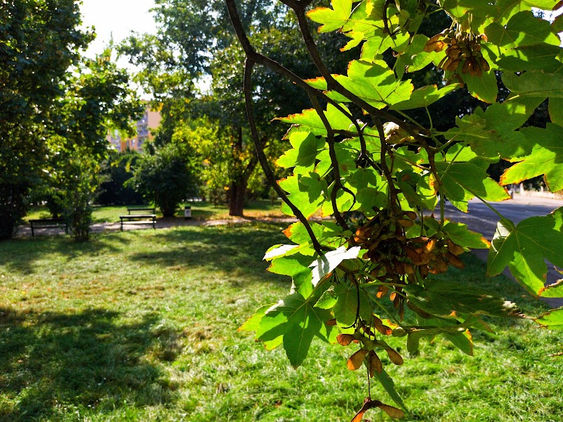 Park Ruth Bondyové - Park Ruth Bondyové Vinohrady, 100 00 Prague 2, Czechia