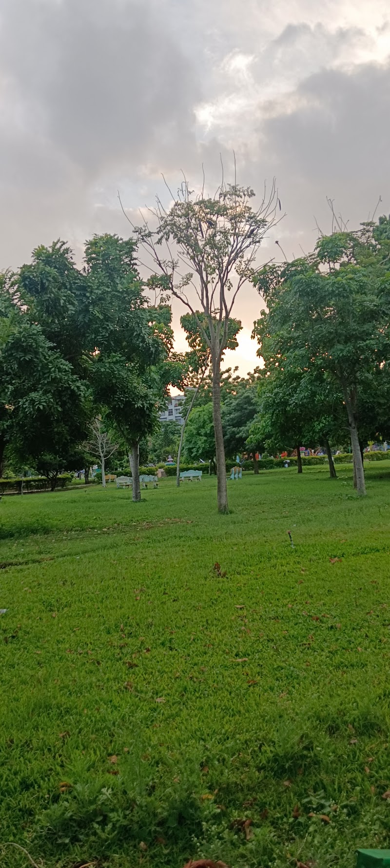 Children's Park - Children's Park CXRR+M32, Childrens Park Rd, Pinakini Avenue, Ramji Nagar, Nellore, Andhra Pradesh 524003, India