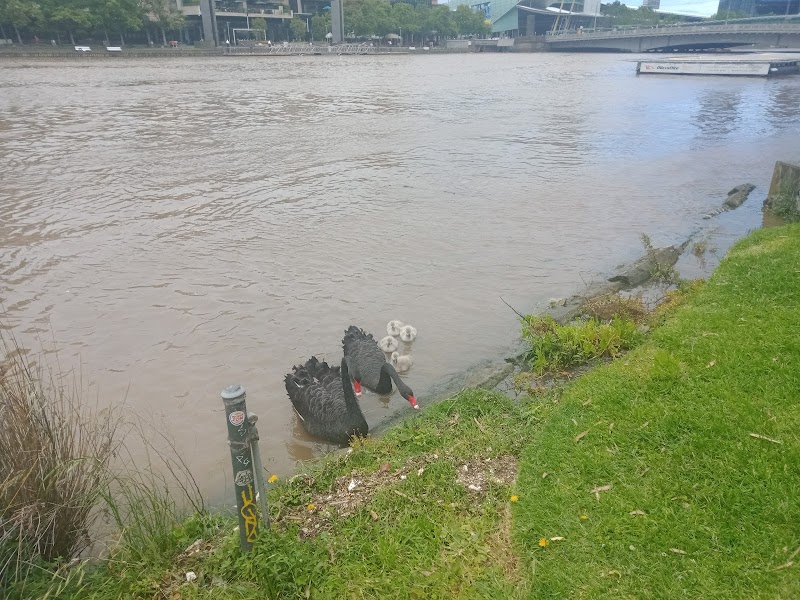 Yarra Riverbank - Yarra Riverbank, Unnamed Road, Melbourne VIC 3000, Australia
