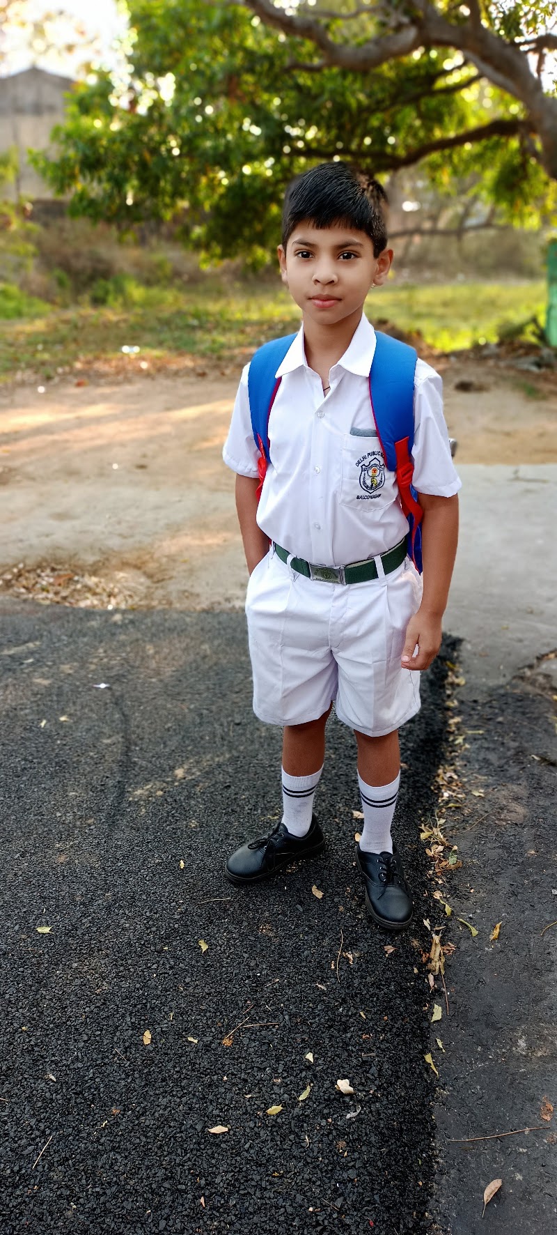 Delhi Public School Balco - Delhi Public School Balco, CQ55+87R, Balco Nagar, Korba, Chhattisgarh 495684, India