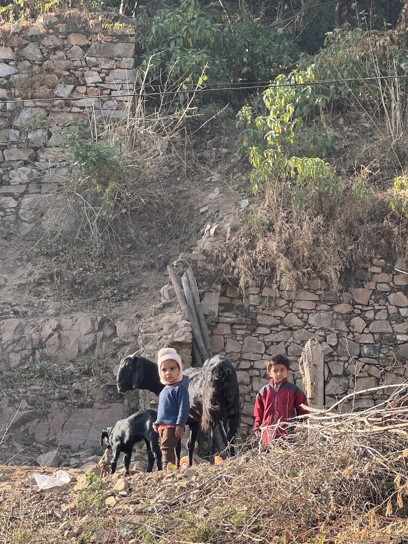 Best Hiking (Trekking) in Jaipur