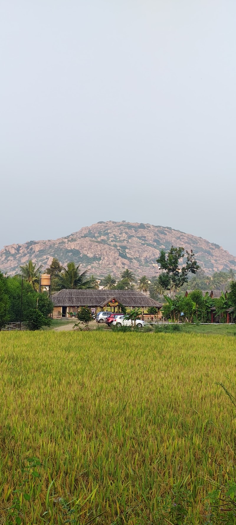 Om Shanti Om Homestay & Cafe Hampi - Om Shanti Om Homestay & Cafe Hampi Sangapur, Karnataka 583234, India