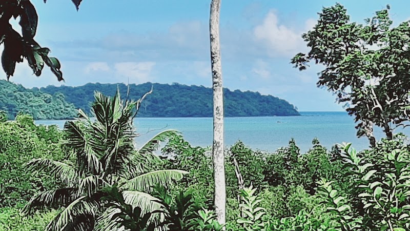 Chota Balu Beach - Chota Balu Beach Chidiya Tapu, Andaman and Nicobar Islands 744105, India