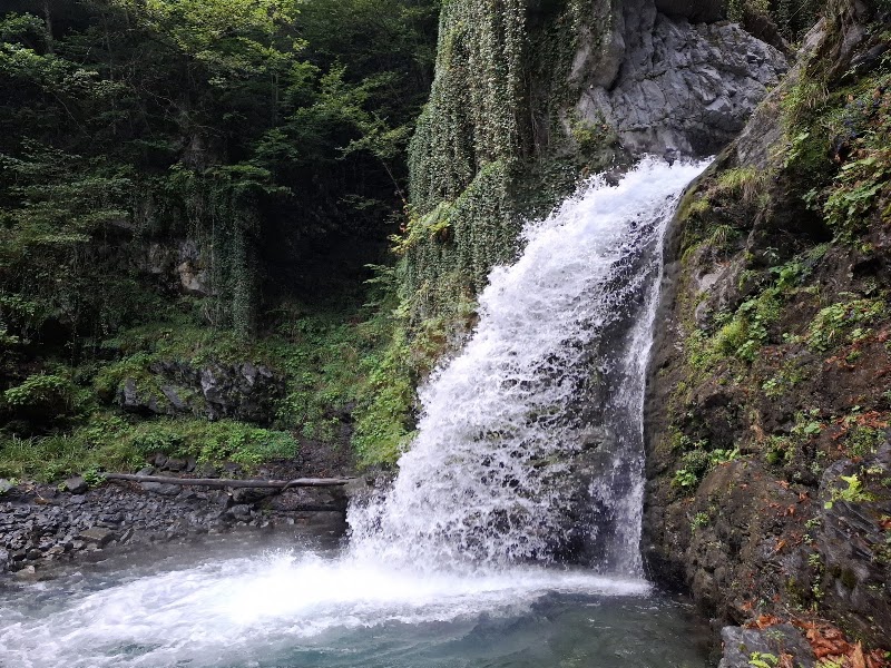 Black Grouse Waterfall