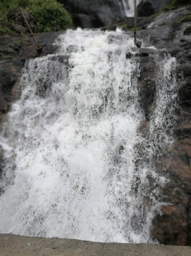 Chinnakanel Waterfalls - Chinnakanel Waterfalls 25Q3+3X3, NH-49, Chinnakanal, Kerala 685613, India