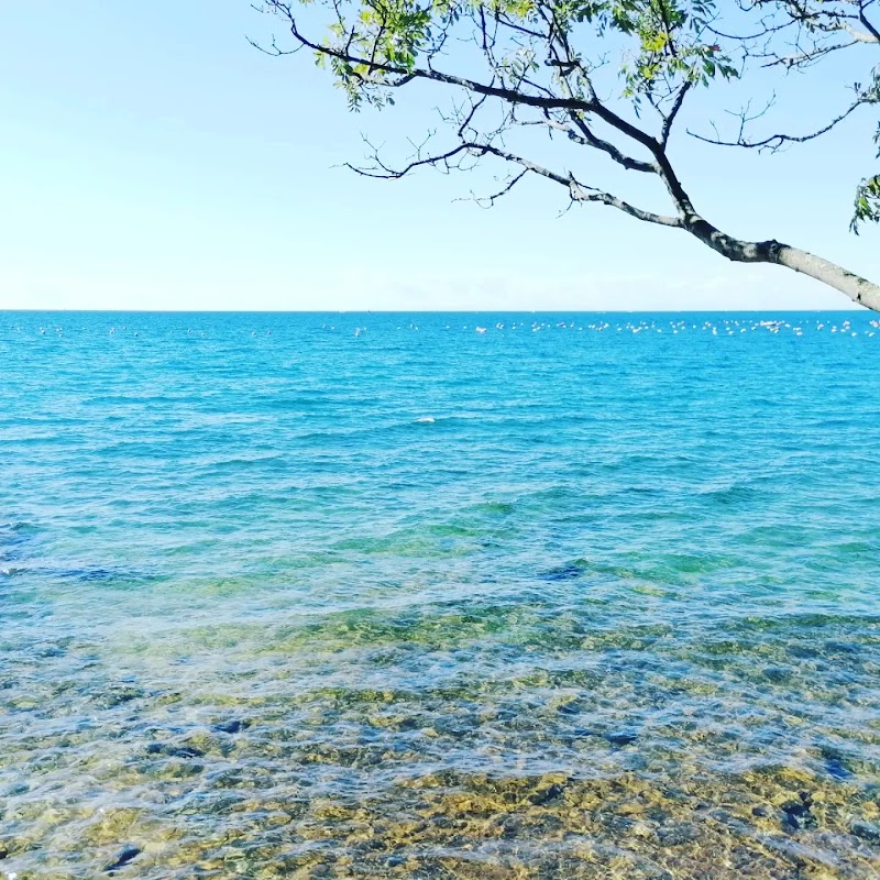 Apartment Leo - Apartment Leo Mušalež 66, 52440, Poreč, Croatia